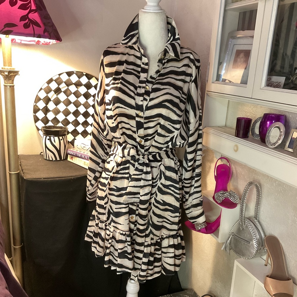 NWT Zara Zebra Print belted dress